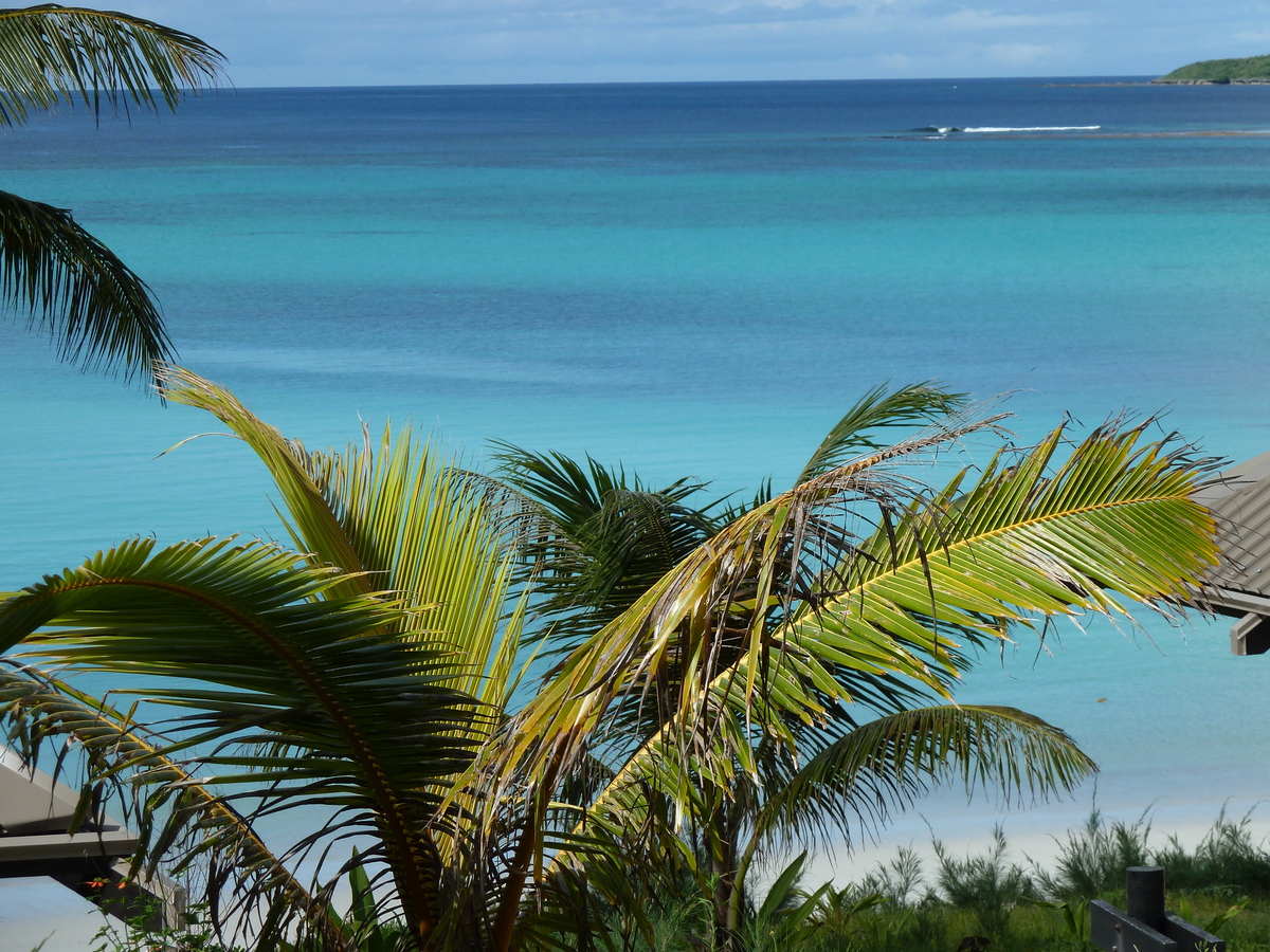 Picture New Caledonia Lifou Drehu Village Hotel 2010-05 68 - Saving Drehu Village Hotel