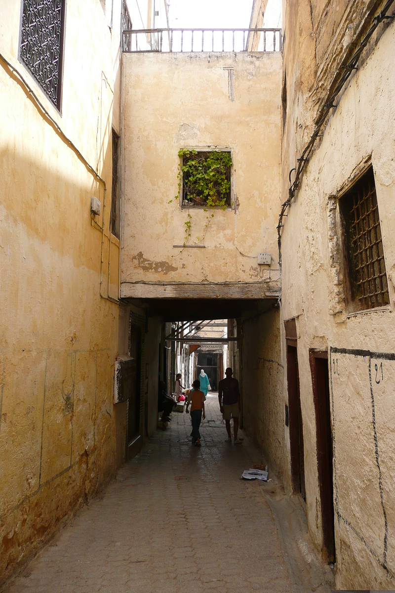 Picture Morocco Fes 2008-07 14 - Lands Fes