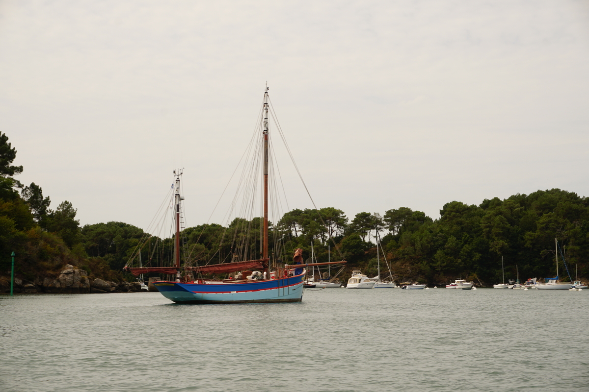 Picture France Golfe du Morbihan 2016-08 76 - City View Golfe du Morbihan