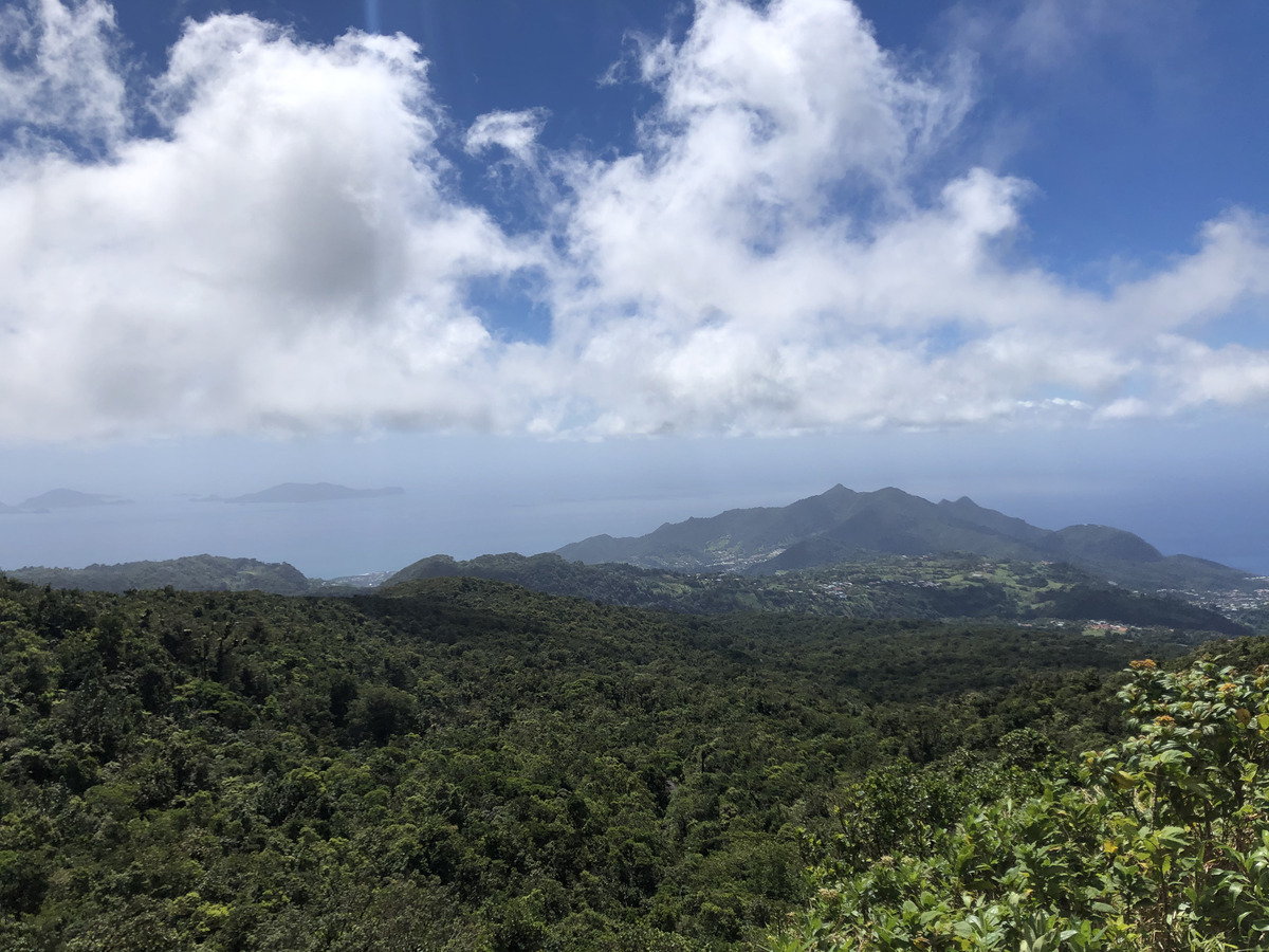 Picture Guadeloupe La Grande Soufriere 2021-02 76 - Rain Season La Grande Soufriere