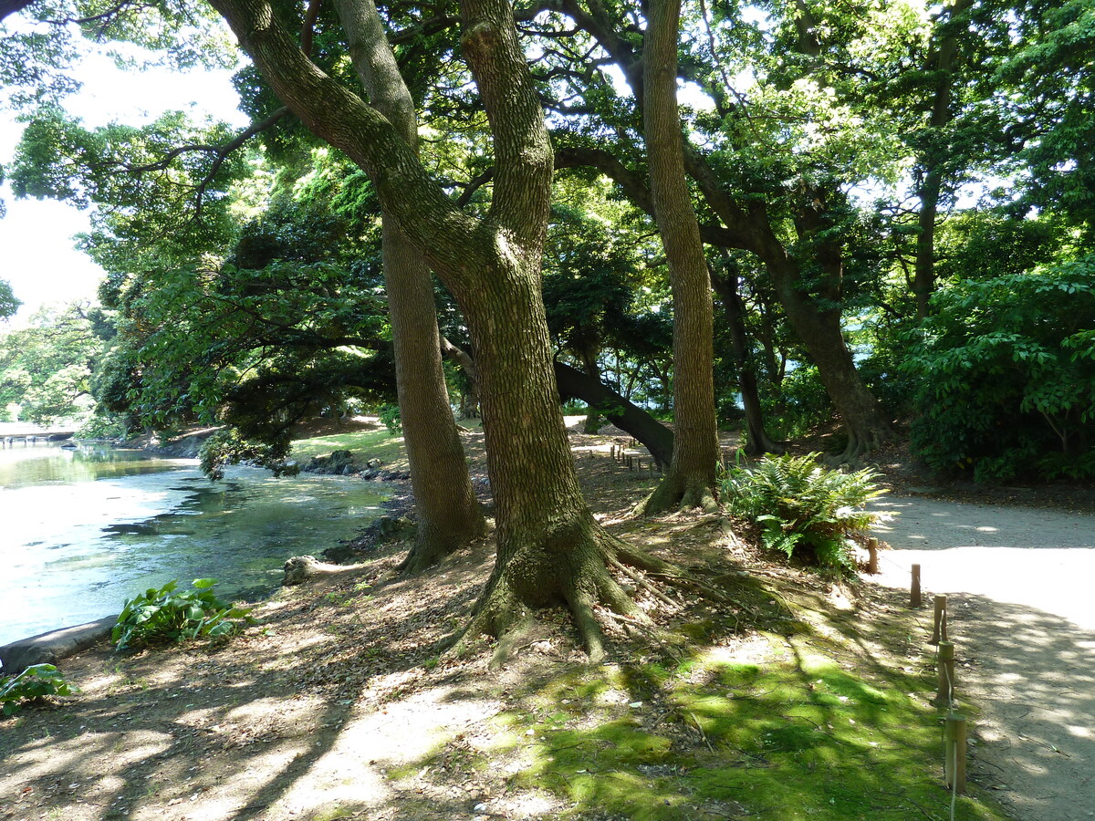 Picture Japan Tokyo Hama rikyu Gardens 2010-06 87 - Waterfalls Hama rikyu Gardens