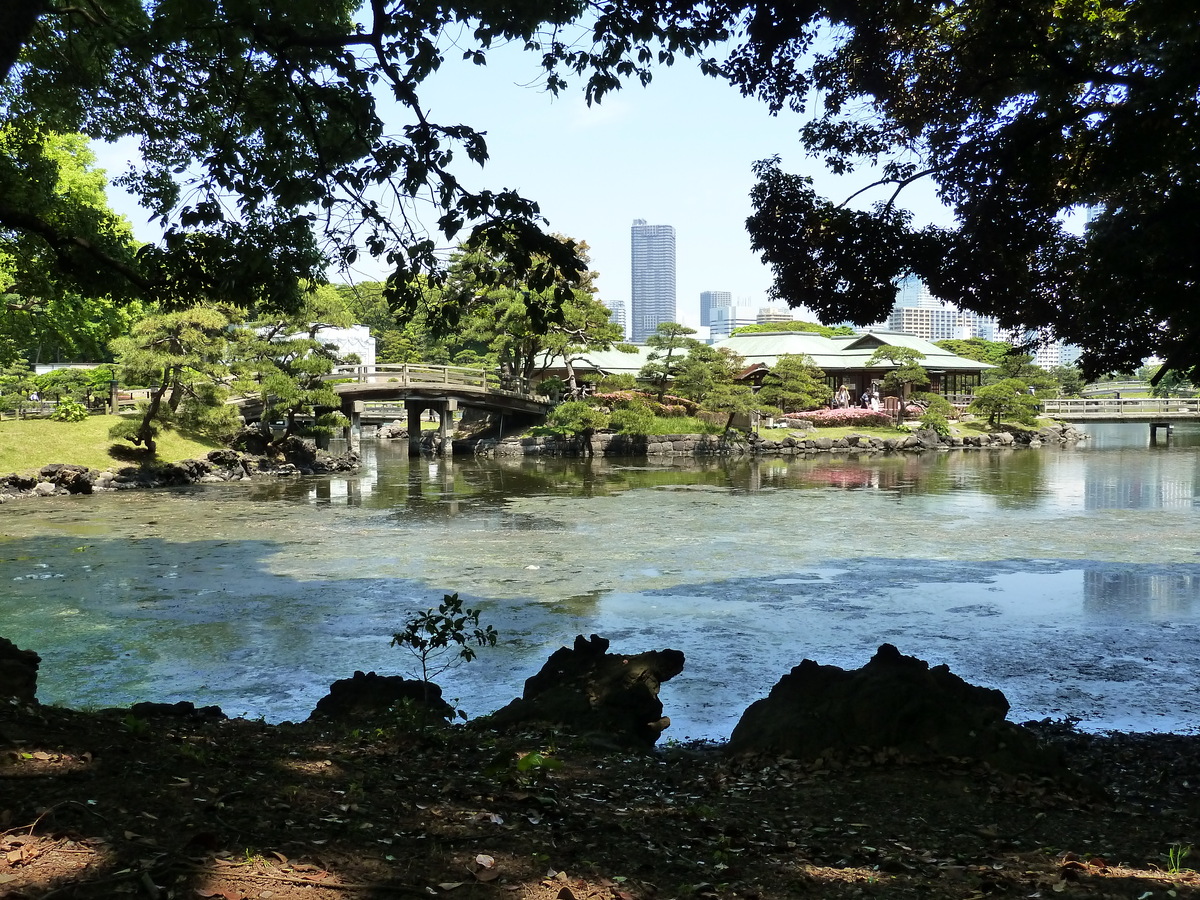 Picture Japan Tokyo Hama rikyu Gardens 2010-06 91 - Summer Hama rikyu Gardens