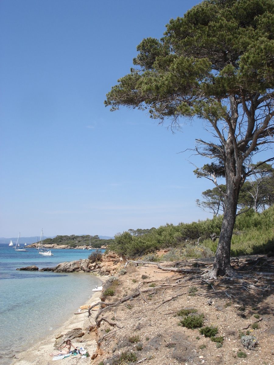 Picture France Porquerolles Island 2006-06 37 - Hotel Pools Porquerolles Island