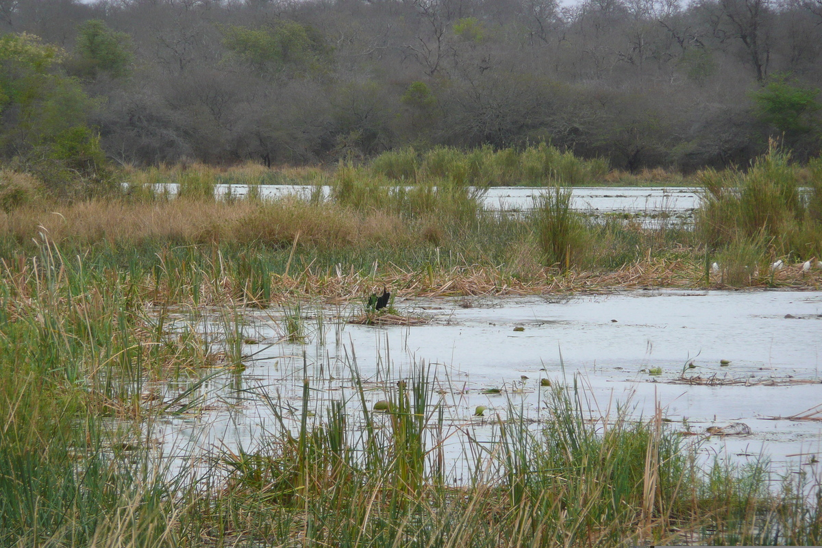 Picture South Africa Kruger National Park Sable River 2008-09 43 - Winter Sable River