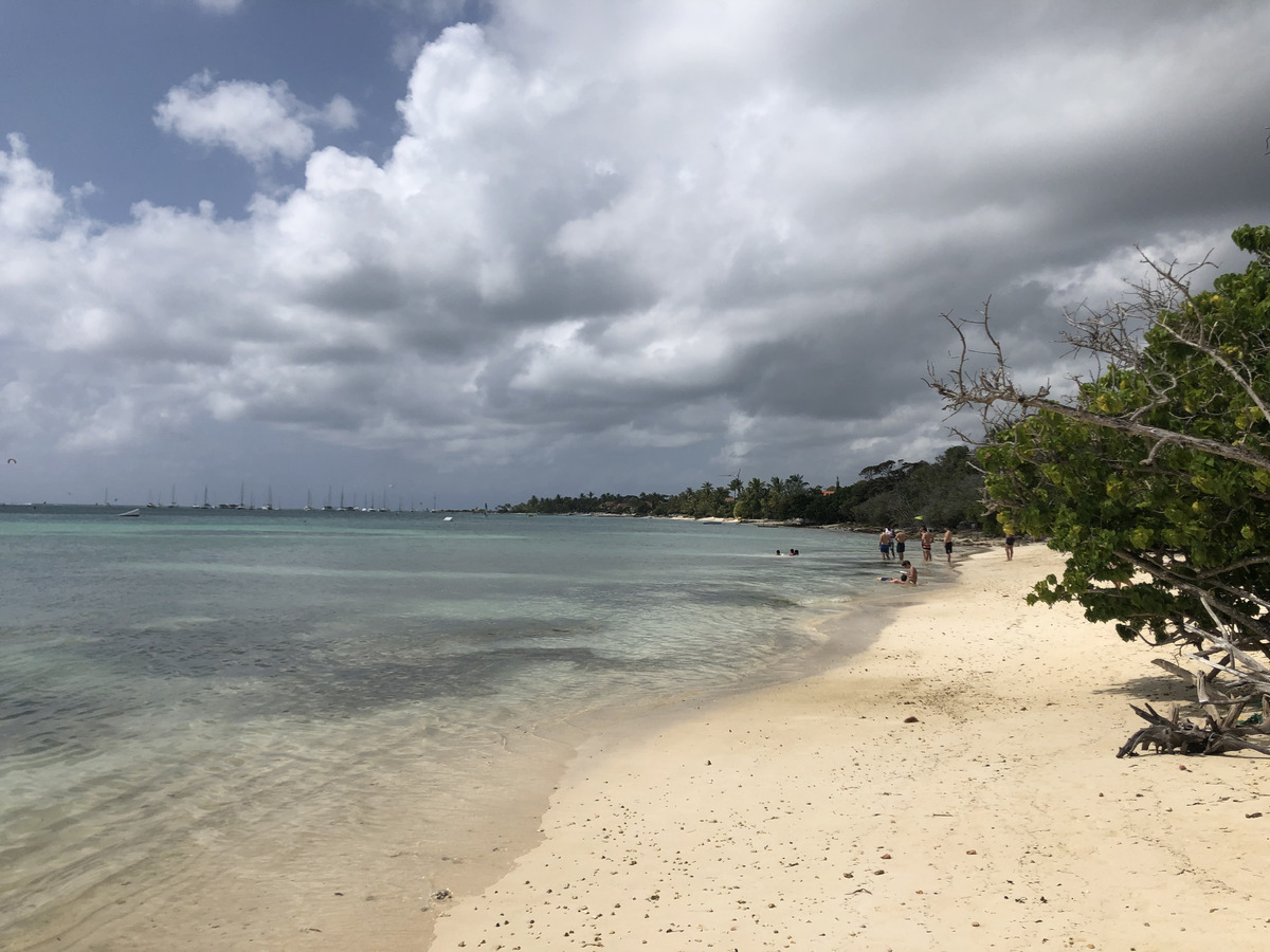 Picture Guadeloupe Saint Francois 2021-02 68 - City View Saint Francois