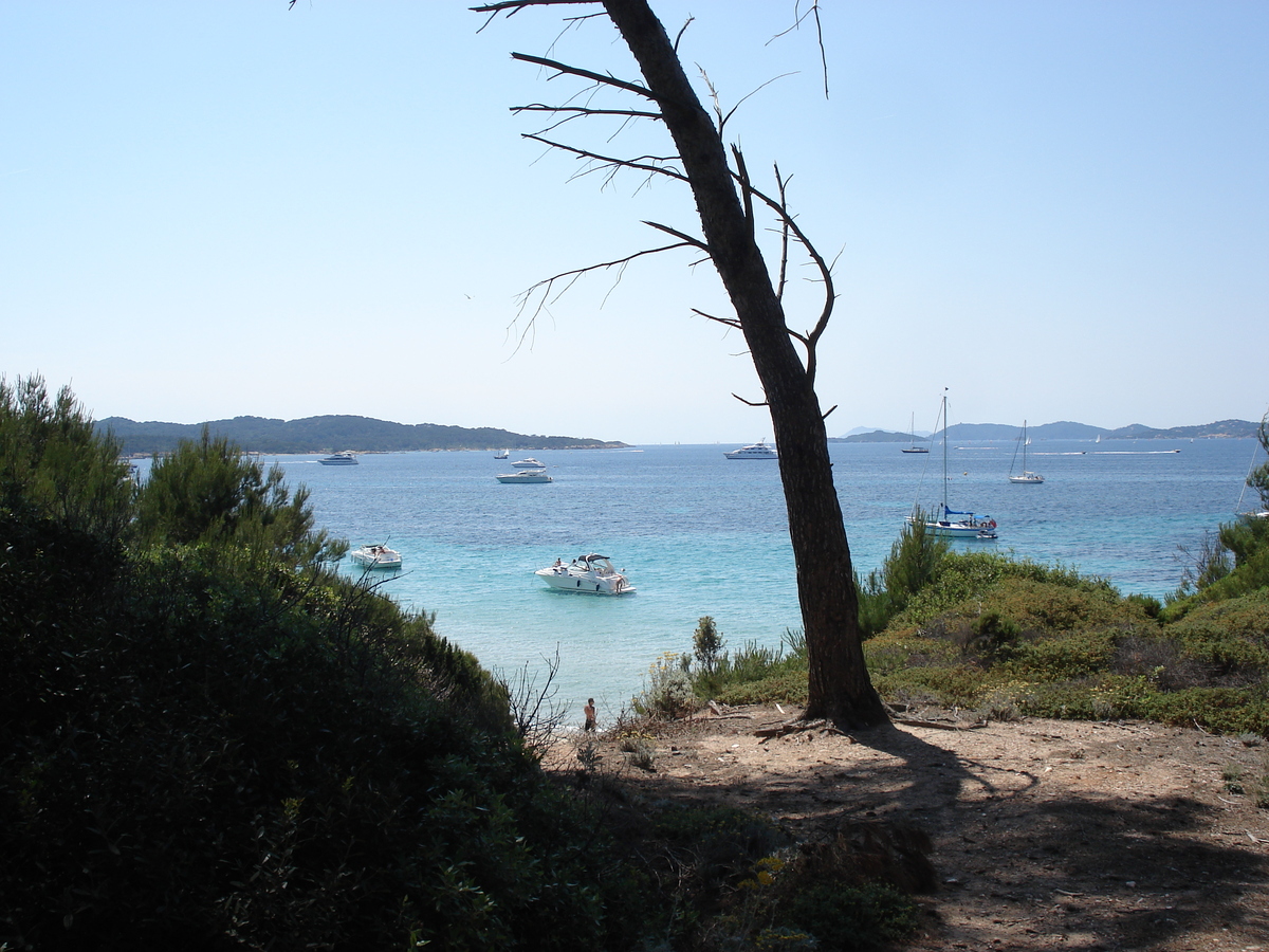 Picture France Porquerolles Island 2006-06 76 - Price Porquerolles Island