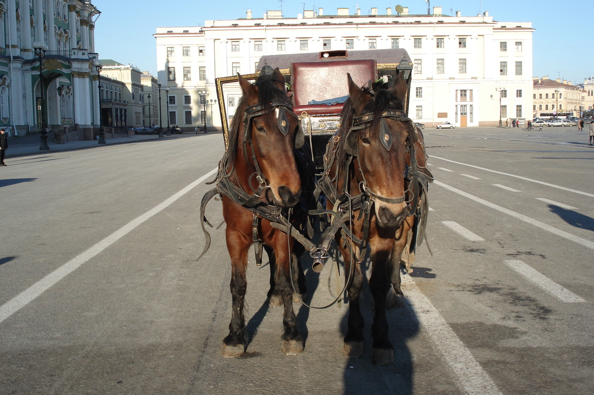 Picture Russia St Petersburg Hermitage 2006-03 26 - Street Hermitage