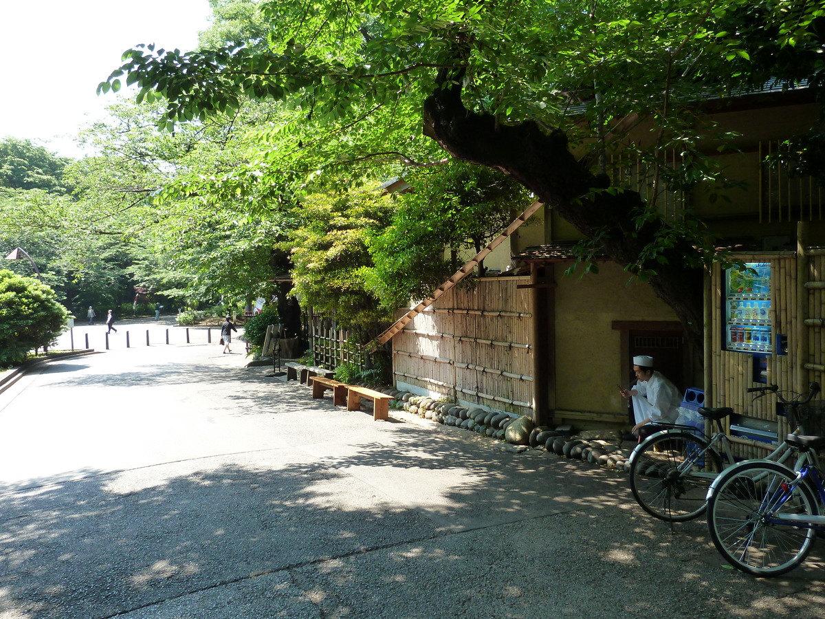 Picture Japan Tokyo Ueno 2010-06 14 - City View Ueno