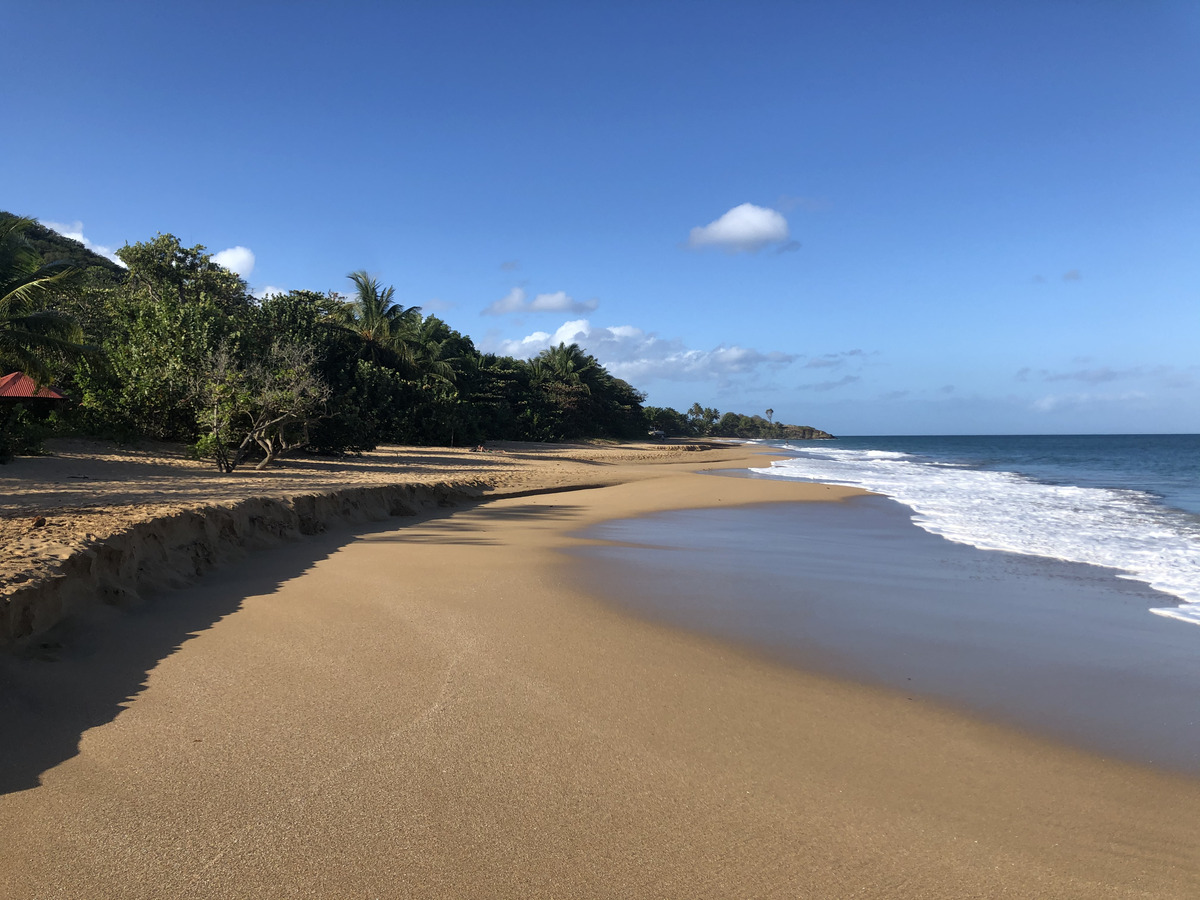 Picture Guadeloupe La Perle Beach 2021-02 19 - Lands La Perle Beach