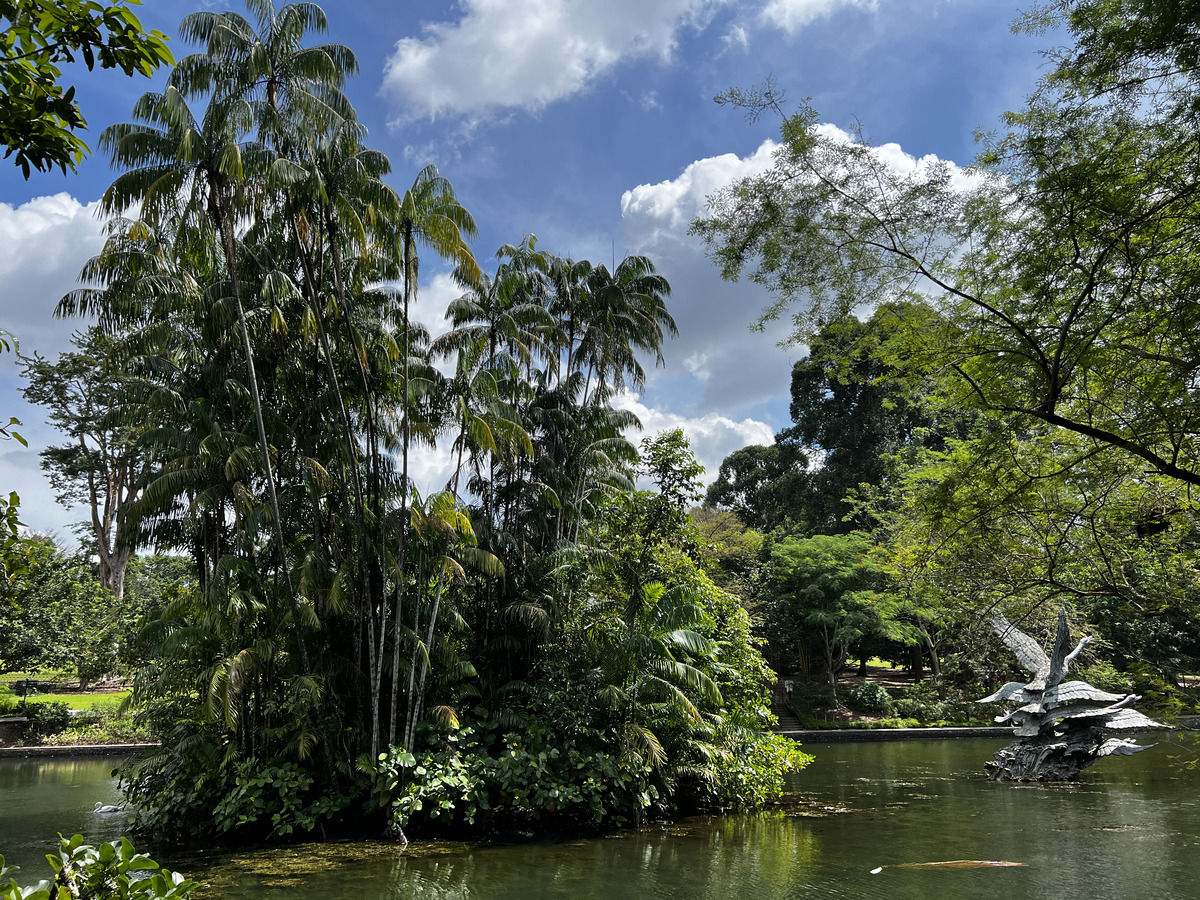 Picture Singapore Singapore Botanic Gardens 2023-01 15 - Lakes Singapore Botanic Gardens