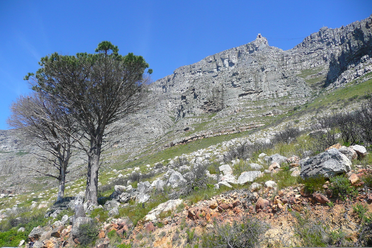 Picture South Africa Cape Town Table Mountain 2008-09 21 - Cost Table Mountain