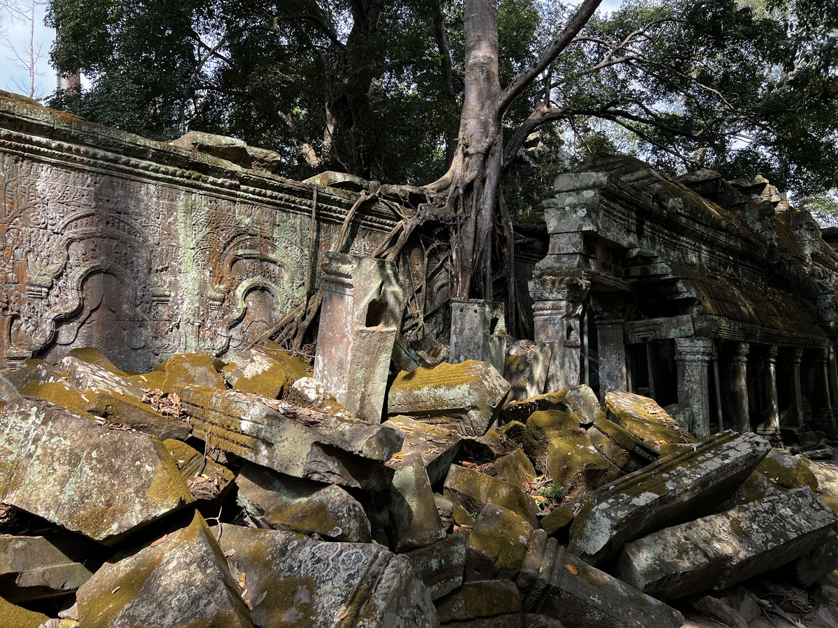 Picture Cambodia Siem Reap Ta Prohm 2023-01 137 - Rental Ta Prohm