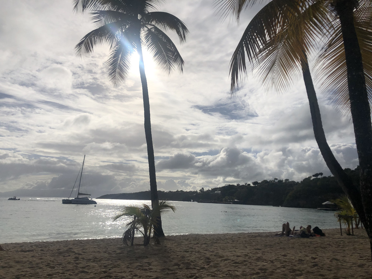 Picture Guadeloupe La Caravelle Beach 2021-02 119 - Monuments La Caravelle Beach