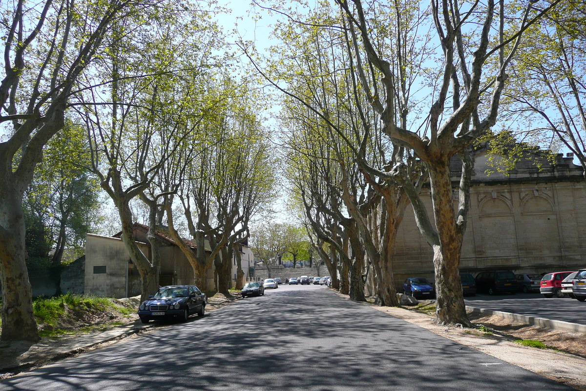 Picture France Beaucaire 2008-04 30 - Spring Beaucaire