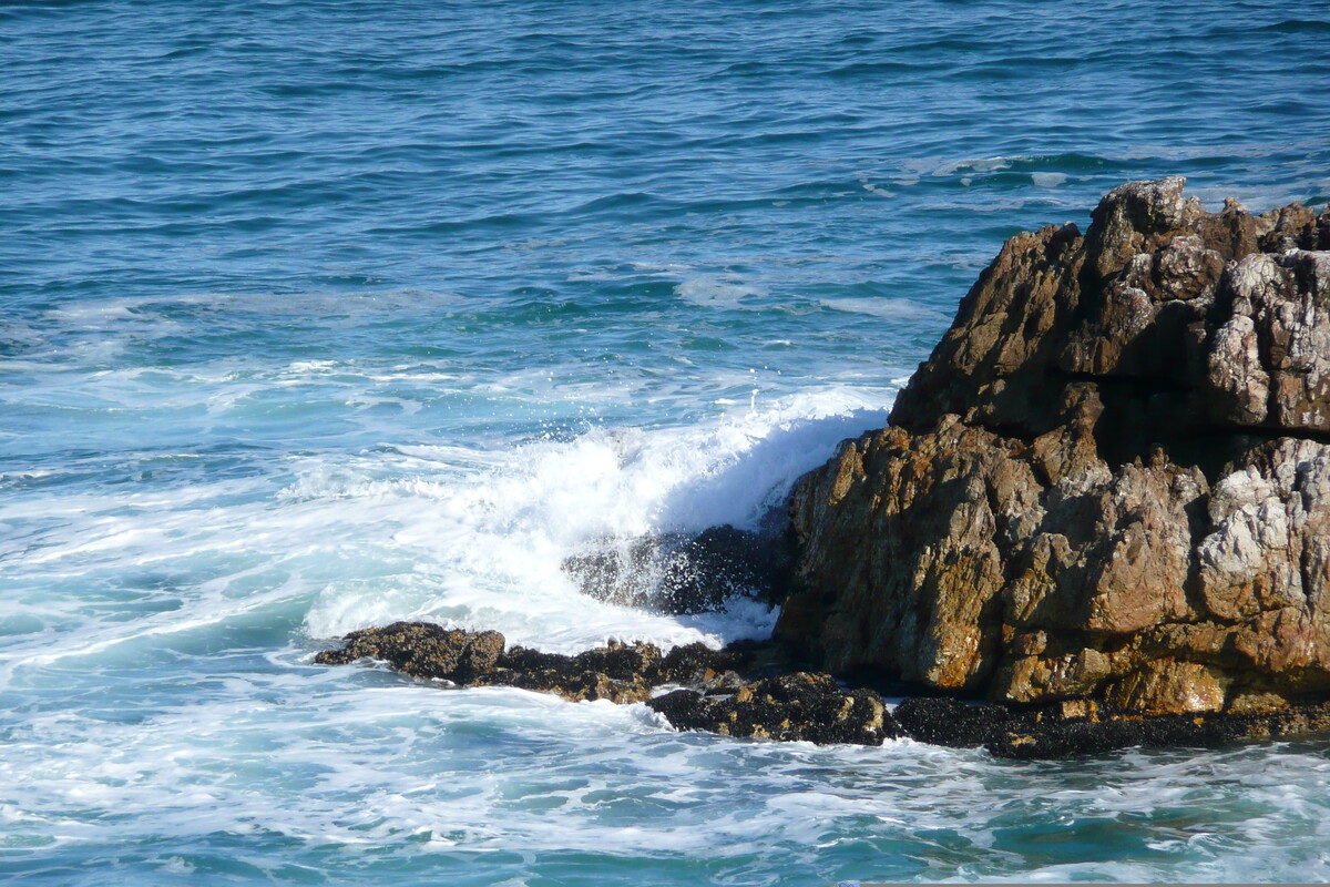 Picture South Africa Harmanus 2008-09 30 - Summer Harmanus