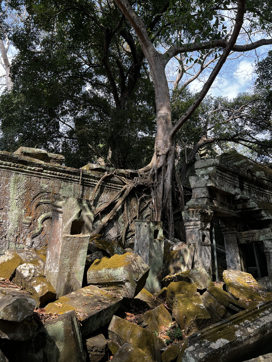 Picture Cambodia Siem Reap Ta Prohm 2023-01 132 - Hotel Pool Ta Prohm