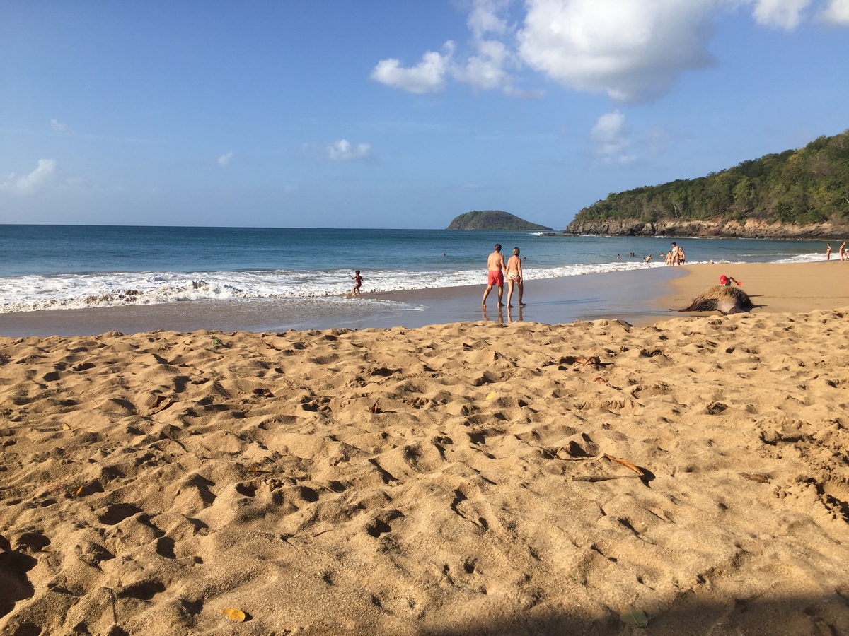 Picture Guadeloupe La Perle Beach 2021-02 16 - Spring La Perle Beach