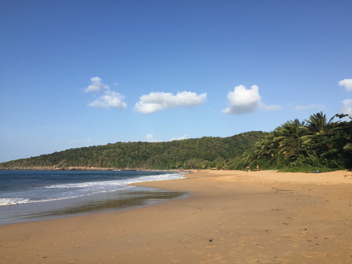 Picture Guadeloupe La Perle Beach 2021-02 26 - City Sight La Perle Beach