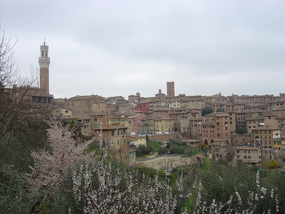 Picture Italy Siena 2004-03 37 - Summer Siena