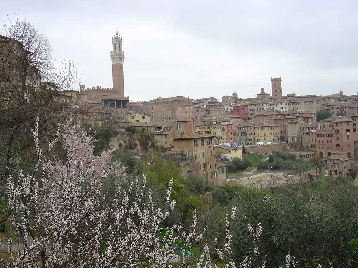 Picture Italy Siena 2004-03 43 - Hot Season Siena