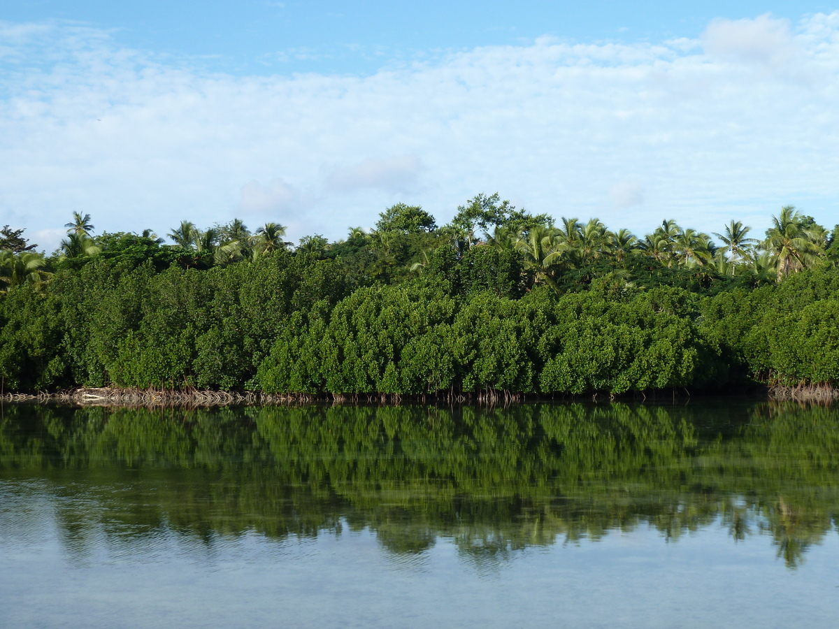 Picture Fiji 2010-05 19 - Cost Fiji