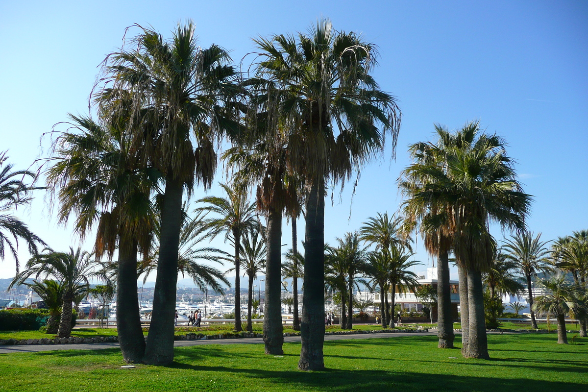 Picture France Cannes Port Pierre Canto 2008-05 50 - Hotel Port Pierre Canto