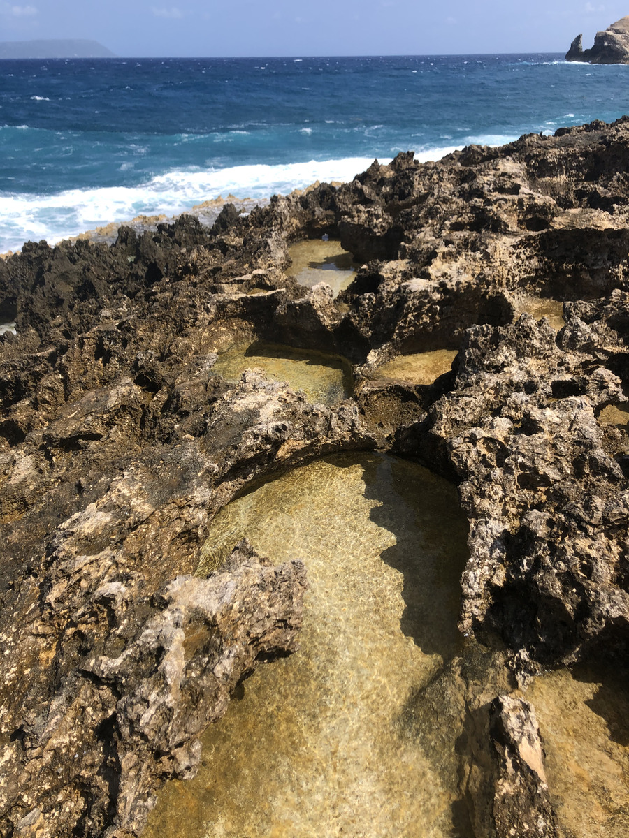 Picture Guadeloupe Castle Point 2021-02 217 - Hot Season Castle Point