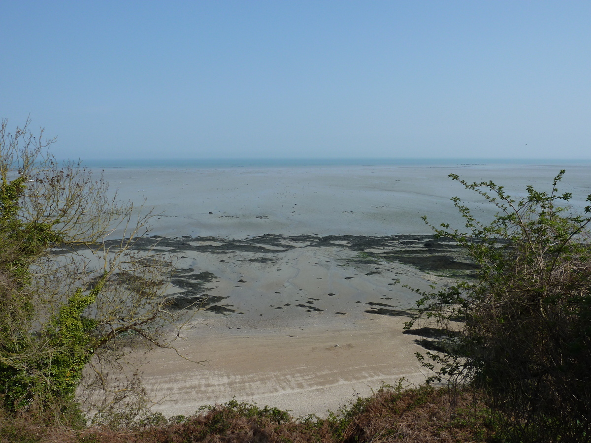 Picture France Cancale 2010-04 70 - Savings Cancale