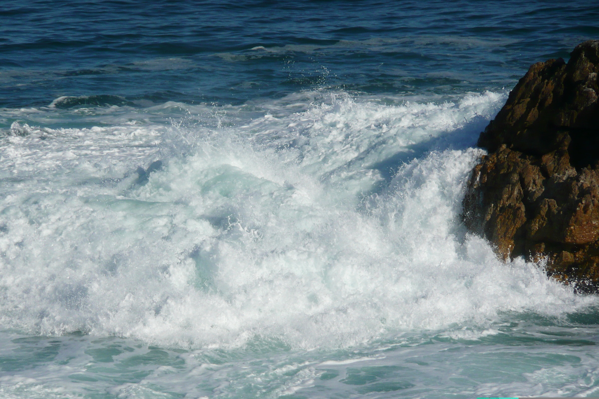 Picture South Africa Harmanus 2008-09 240 - Cost Harmanus