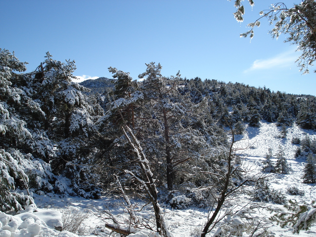 Picture France Coursegoule to Greolieres les neiges road 2007-01 49 - Saving Coursegoule to Greolieres les neiges road