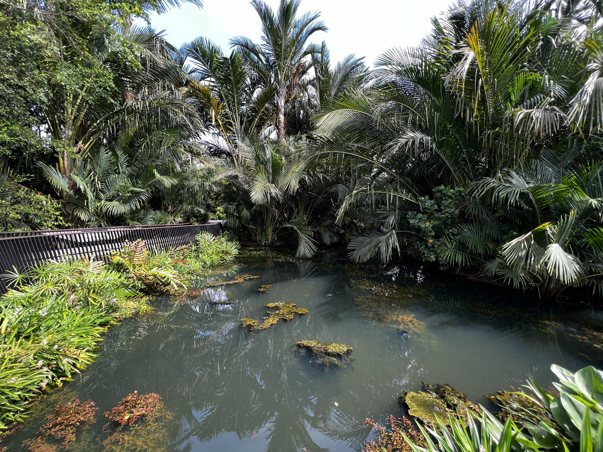 Picture Singapore Singapore Botanic Gardens 2023-01 121 - Waterfalls Singapore Botanic Gardens