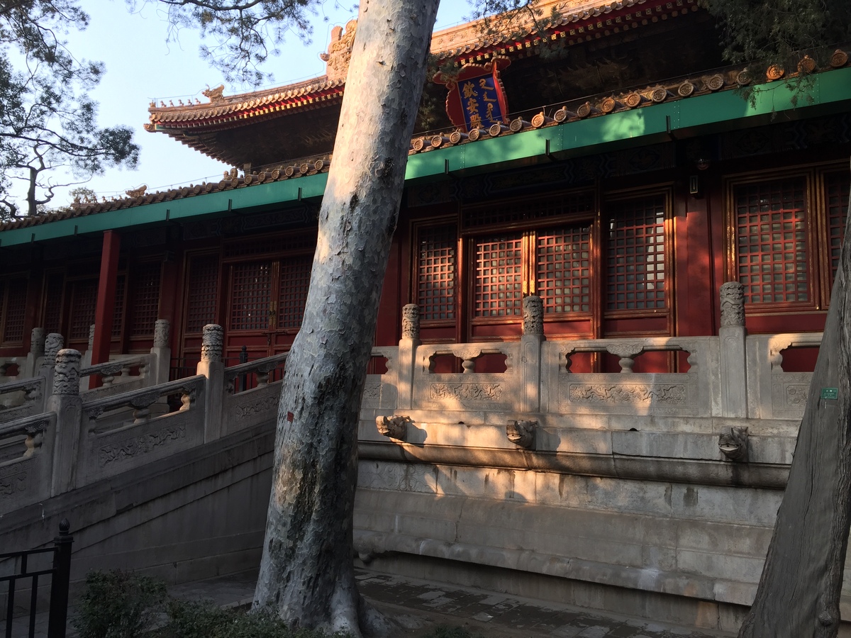 Picture China Beijing Forbidden City 2015-12 170 - City View Forbidden City