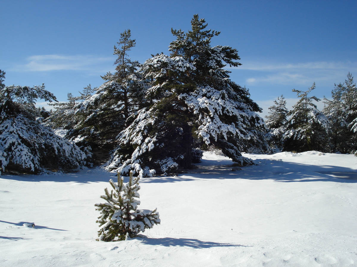 Picture France Greolieres les neiges 2007-01 1 - Accomodation Greolieres les neiges