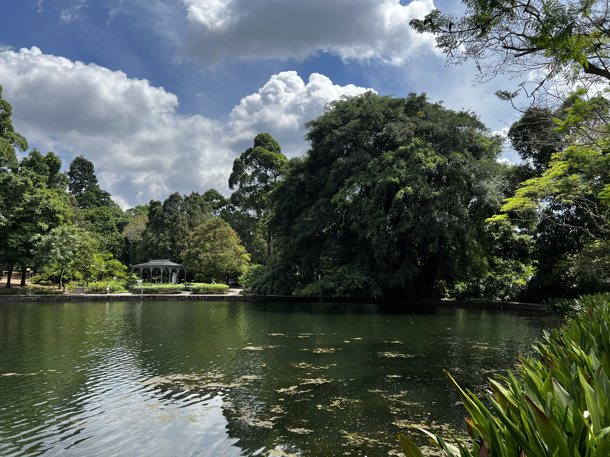 Picture Singapore Singapore Botanic Gardens 2023-01 91 - Sauna Singapore Botanic Gardens