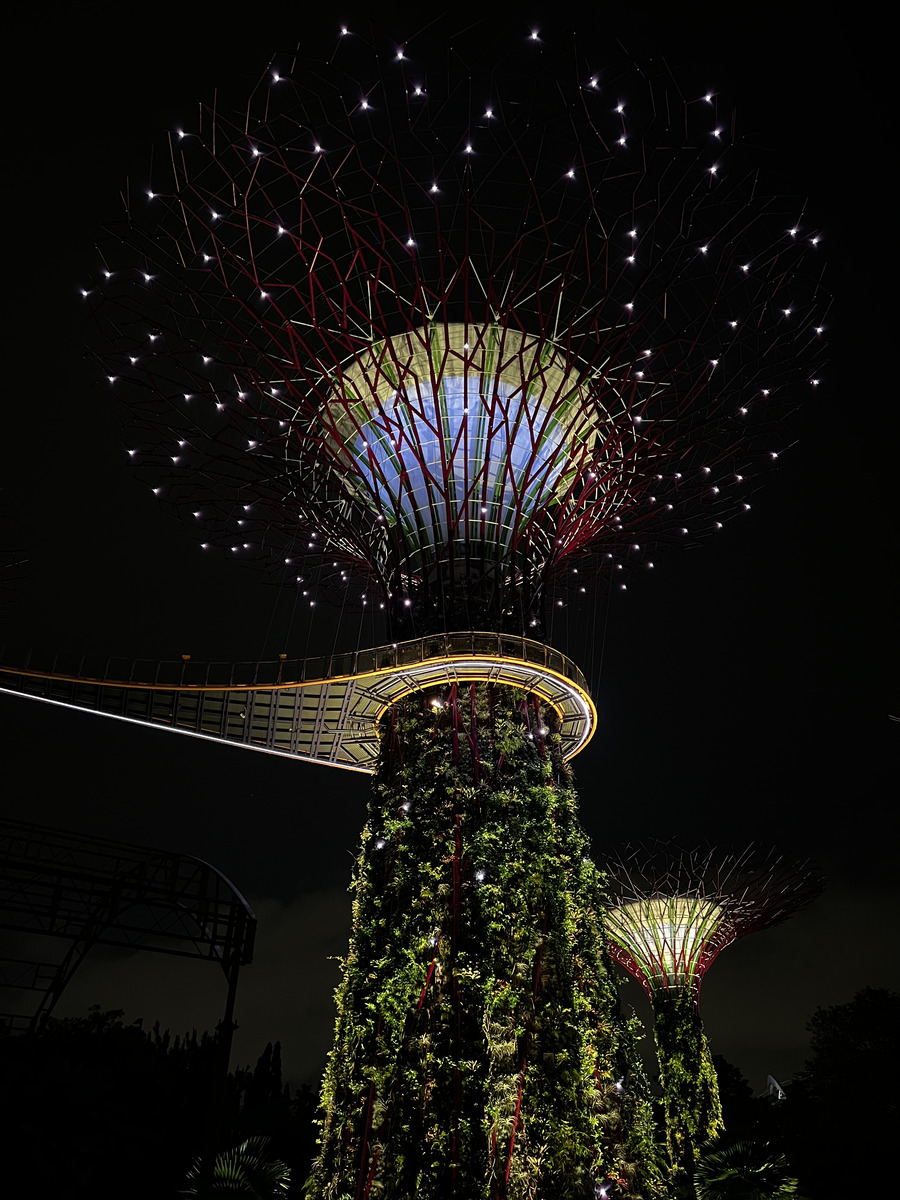 Picture Singapore Garden by the bay 2023-01 44 - Rooms Garden by the bay