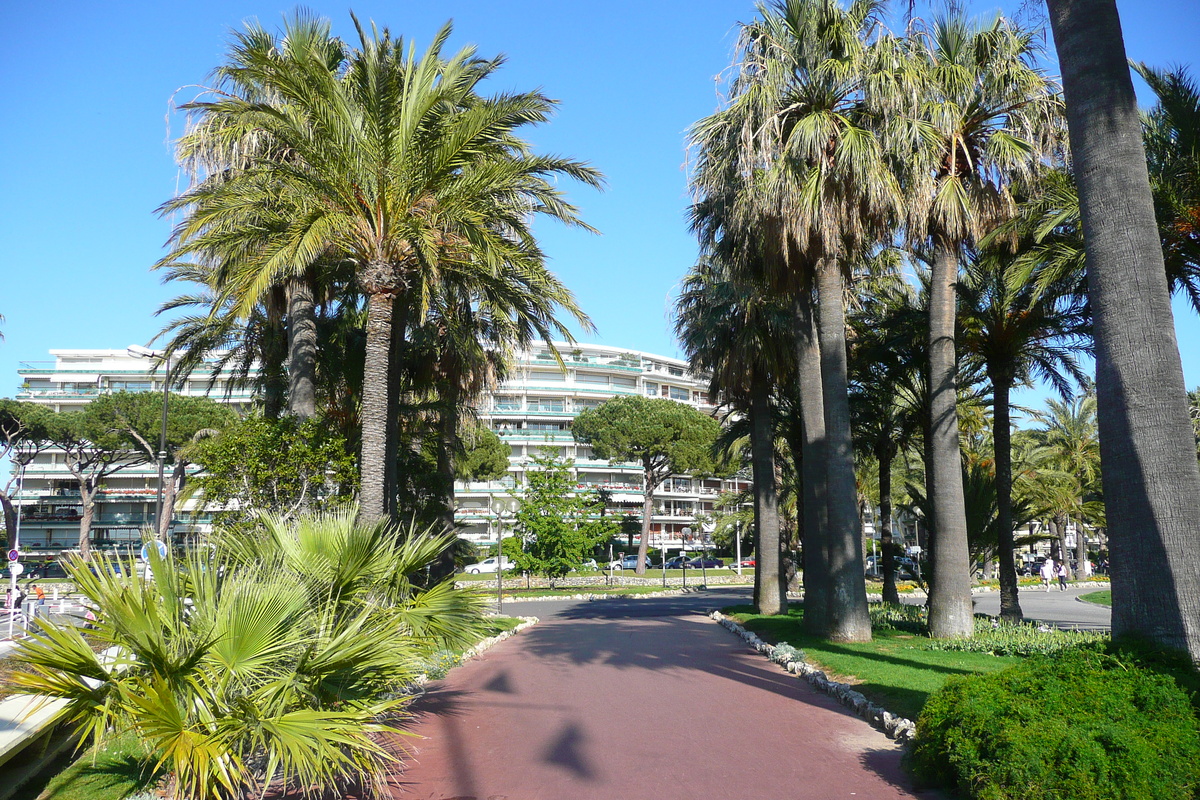 Picture France Cannes Port Pierre Canto 2008-05 0 - SPA Port Pierre Canto