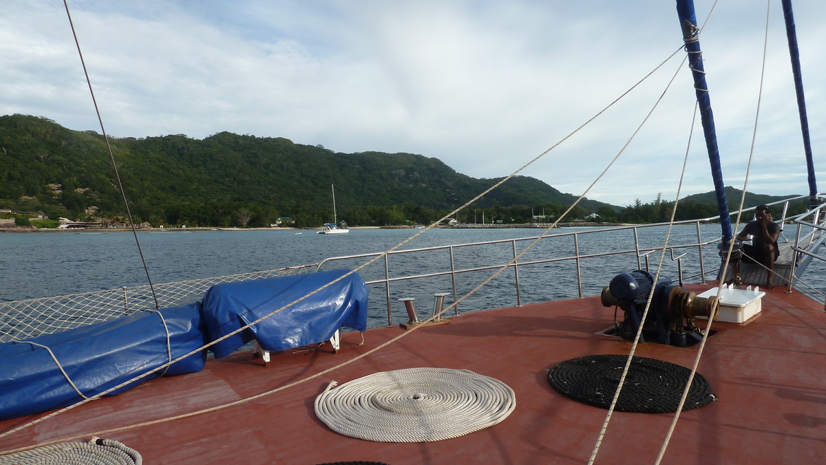 Picture Seychelles Sea Star 2011-10 78 - Rain Season Sea Star