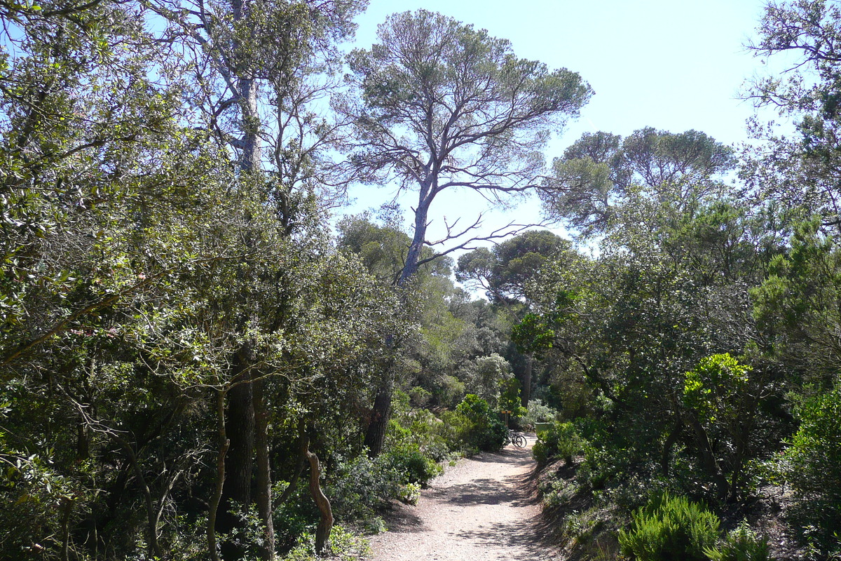 Picture France Porquerolles Island Alycastre beach 2008-05 0 - Monument Alycastre beach