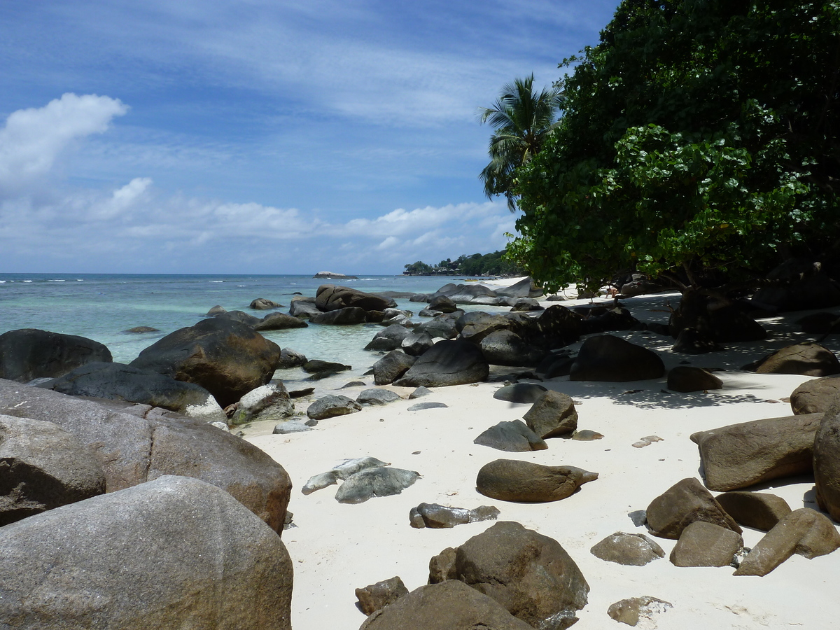 Picture Seychelles Mahe 2011-10 25 - Summer Mahe