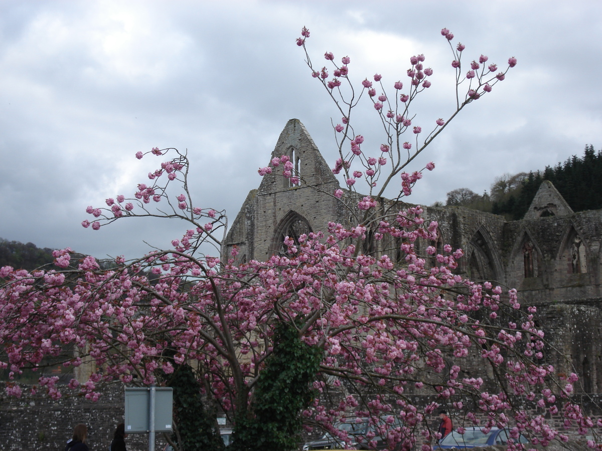 Picture United Kingdom Tintern 2006-05 25 - Price Tintern