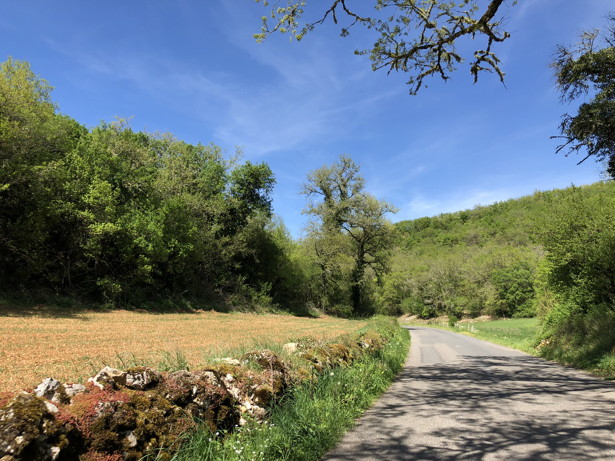 Picture France Floirac 2018-04 24 - Spring Floirac