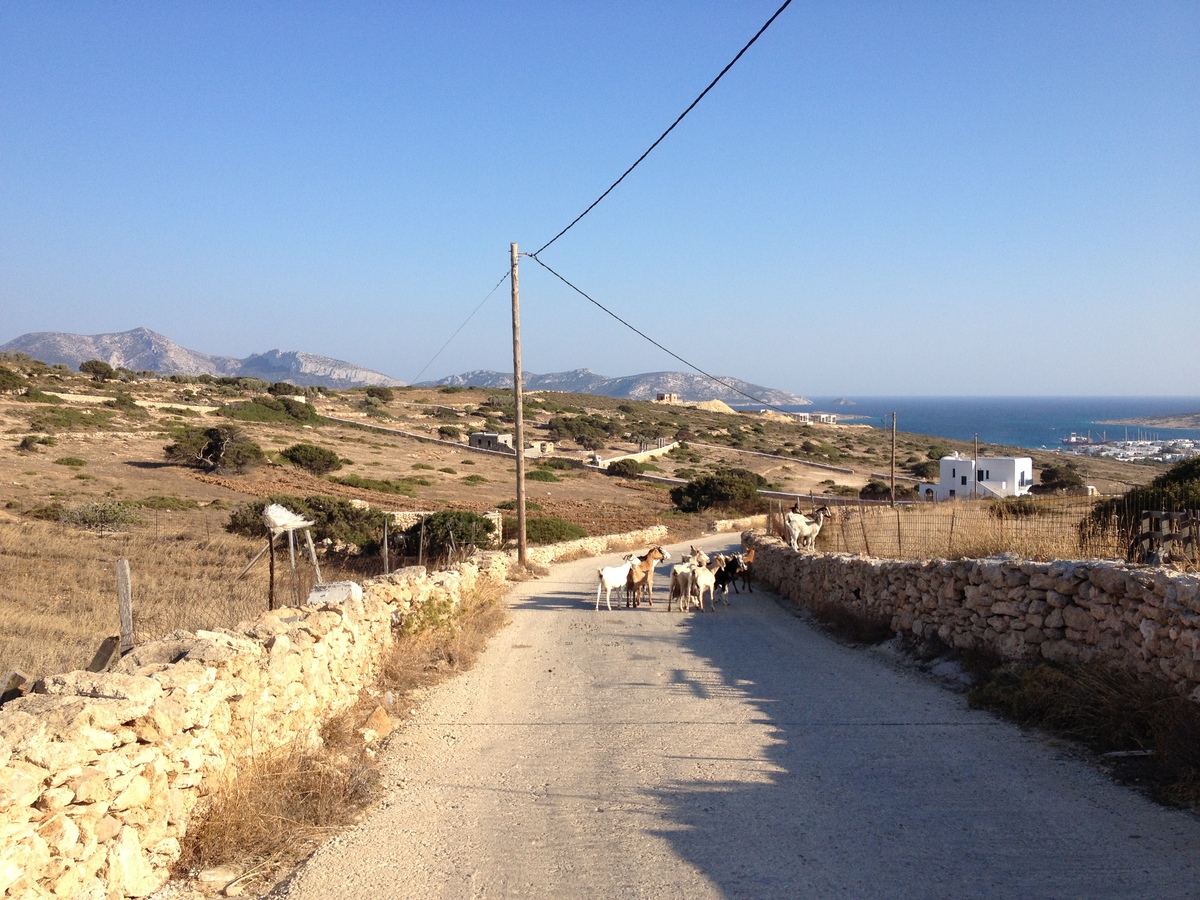 Picture Greece Koufonissia 2014-07 44 - Rain Season Koufonissia