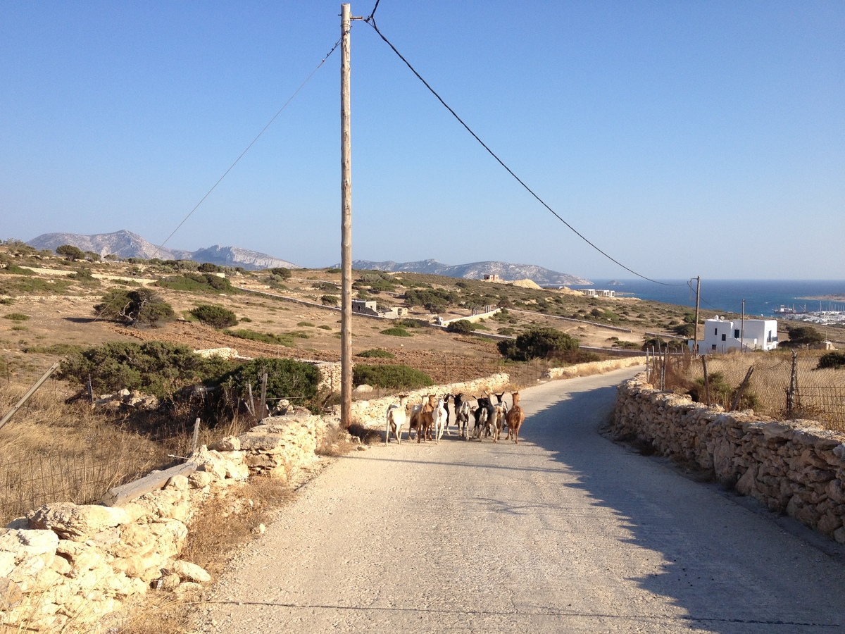 Picture Greece Koufonissia 2014-07 113 - Lands Koufonissia