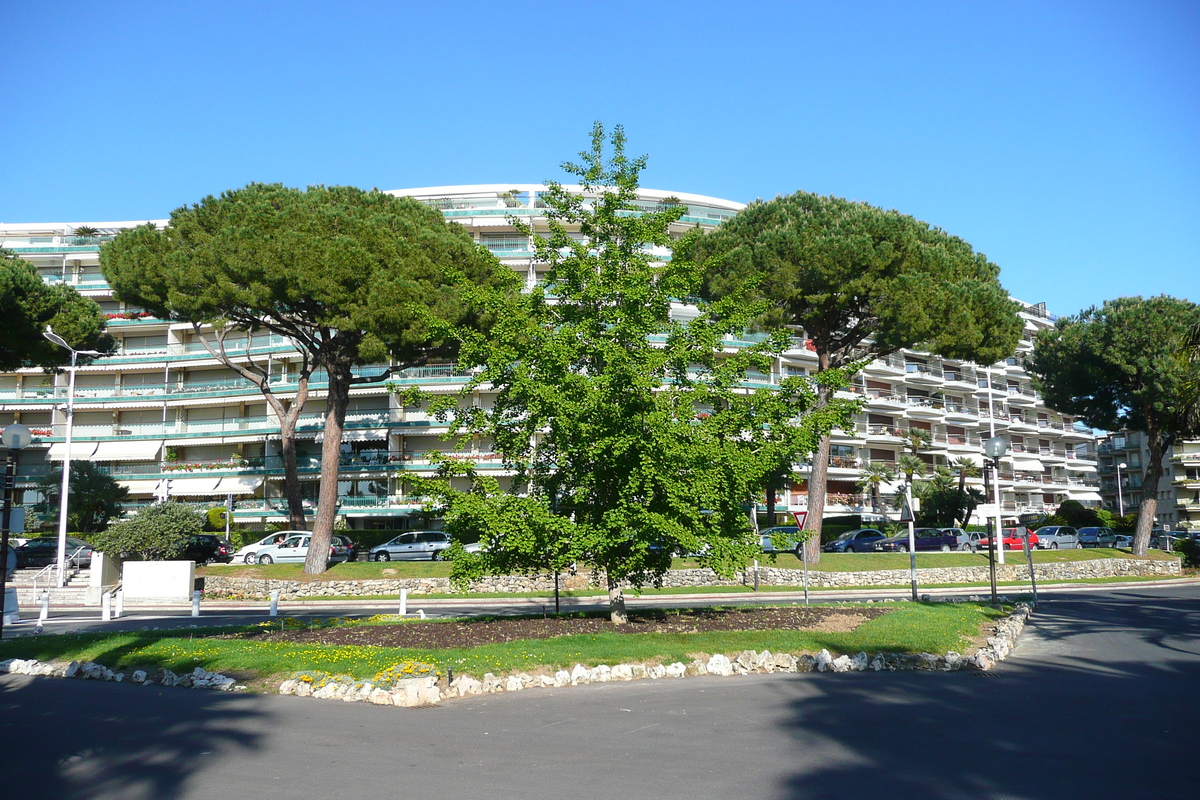 Picture France Cannes Port Pierre Canto 2008-05 66 - Land Port Pierre Canto