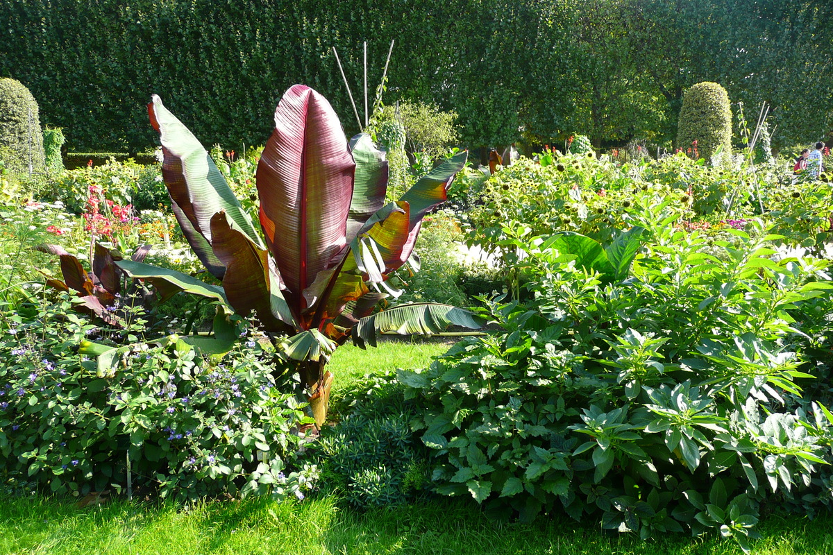 Picture France Paris Jardin des Plantes 2007-08 64 - Restaurant Jardin des Plantes