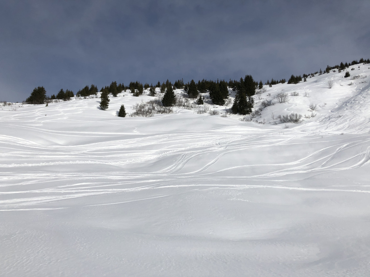 Picture France Praz sur Arly 2019-12 125 - Winter Praz sur Arly