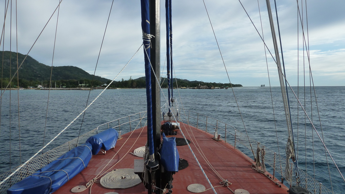 Picture Seychelles Sea Star 2011-10 6 - Rentals Sea Star