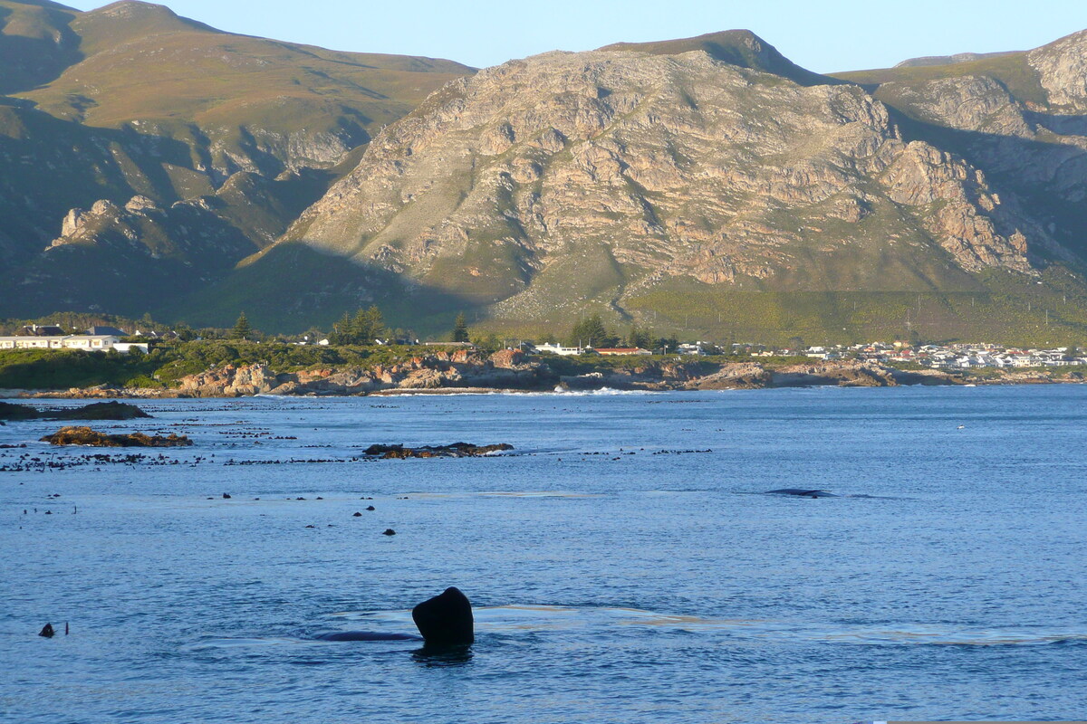 Picture South Africa Harmanus 2008-09 160 - Lake Harmanus