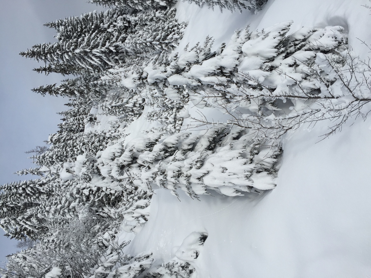 Picture France Megeve 2016-02 45 - Land Megeve