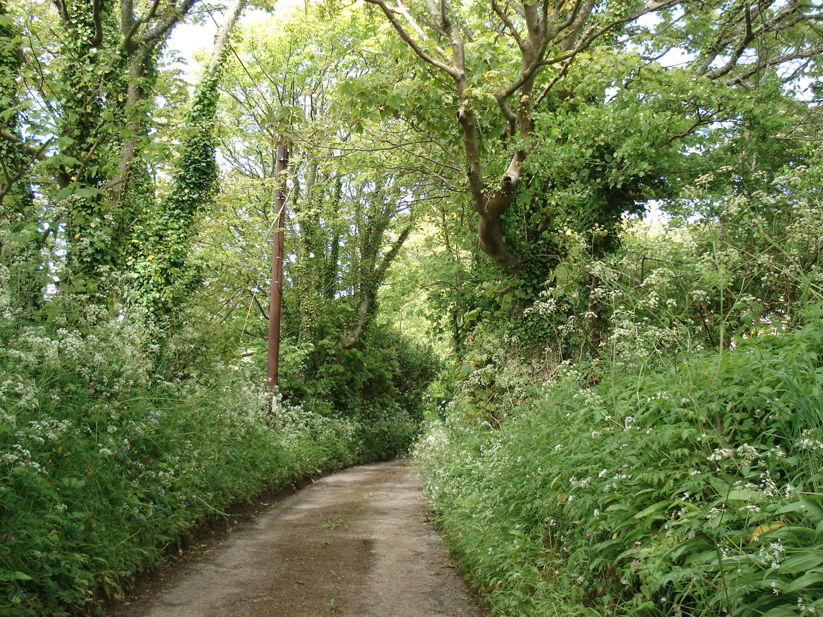 Picture United Kingdom Pembrokeshire 2006-05 21 - Streets Pembrokeshire